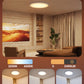 Govee 30cm RGBWW + RGBIC Smart circle Ceiling Light- H80A1