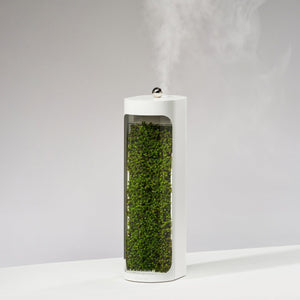 Moss Air - Living Moss Humidifier + Filter- White