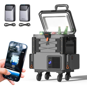 Litheli FrozenPack Wild 12v Portable Smart Car 16L+4L Fridge Dual Battery - Grey