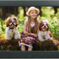 10 inch LCD TFT Digital Photo Frame Video music-Black