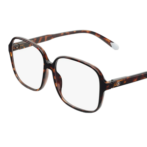 Barner Pascal Glossy Tortoise