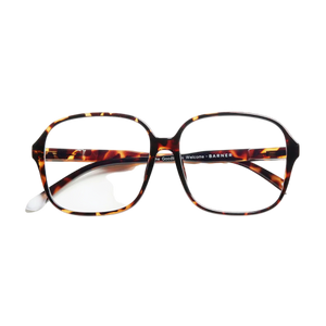 Barner Pascal Glossy Tortoise