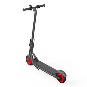 Segway Ninebot Kickscooter C20 Electric Scooter