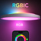 Govee 30cm RGBWW + RGBIC Smart circle Ceiling Light- H80A1