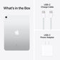 Apple iPad 10th Gen 256GB Wifi - Silver