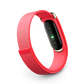 Google Fitbit Air Fitness Tracker - Berry