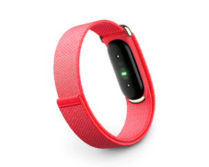 جهاز تتبع اللياقة البدنية «Google Fitbit Air» - لون التوت