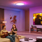 Govee 30cm RGBWW + RGBIC Smart circle Ceiling Light- H80A1