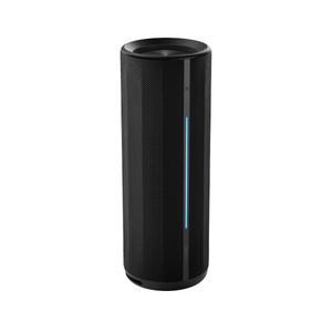 Xiaomi Mi Bluetooth Speaker 40W Black