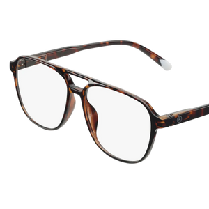 Barner Brad Glossy Tortoise