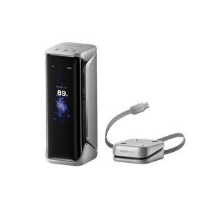 بنك الطاقة EcoFlow RAPID Pro X (27650 مللي أمبير، 300 واط) - فضي